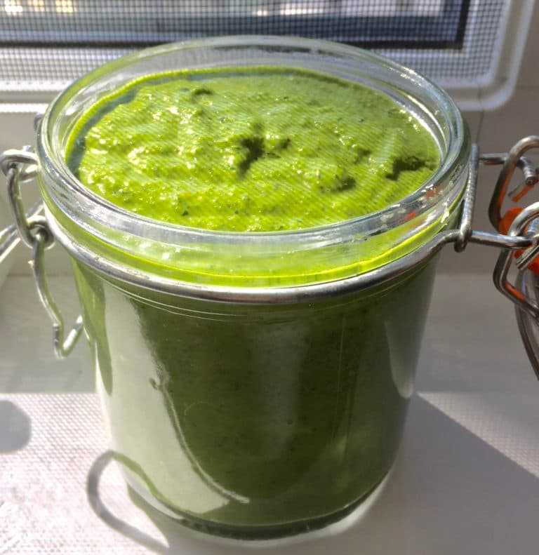 Dandelion No-Cheese Pesto